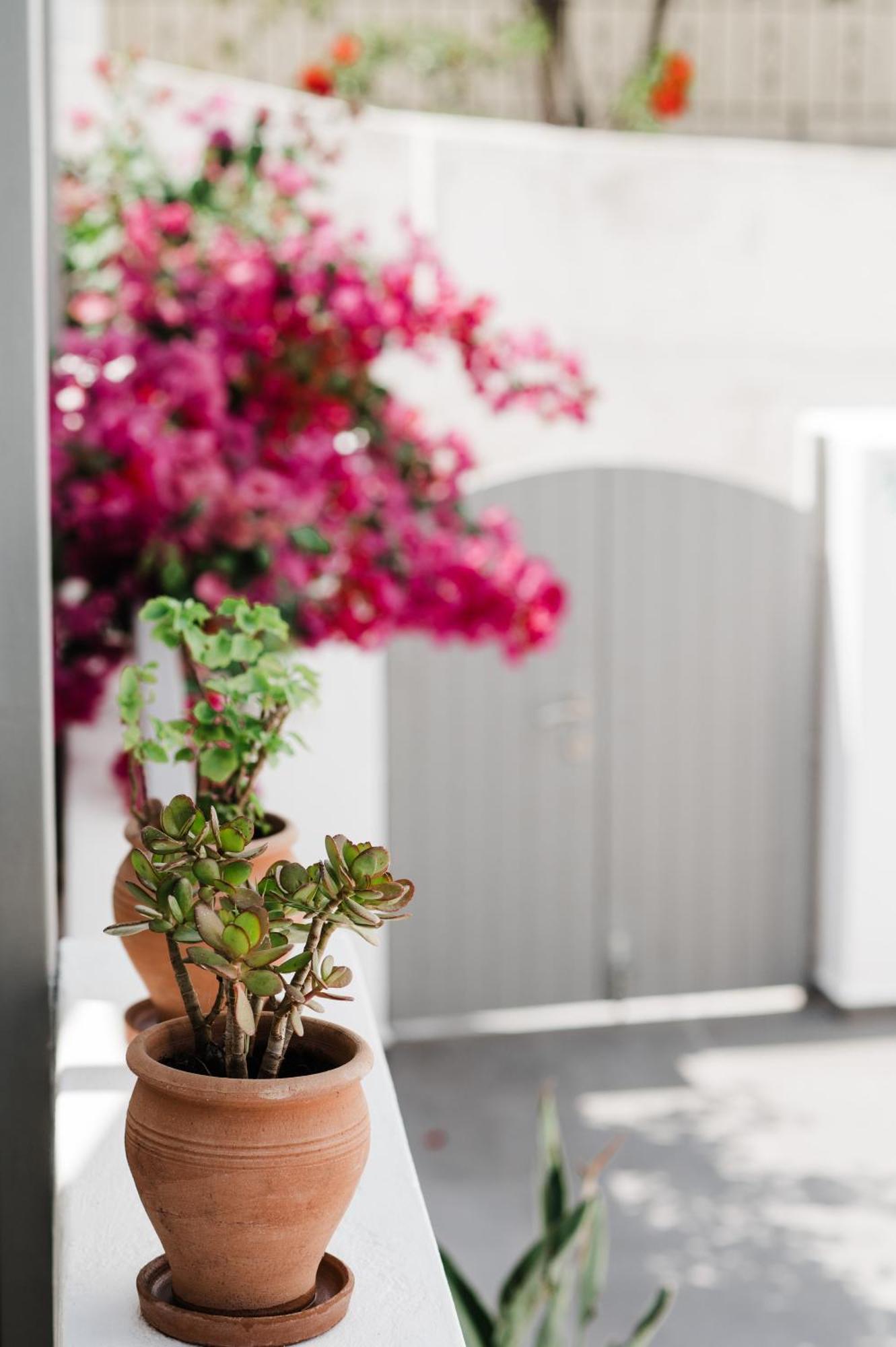Amphitrite Suites Santorini Vothon Екстер'єр фото